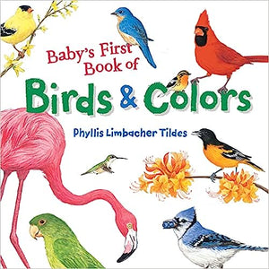Baby's First Book of Birds & Colors 823