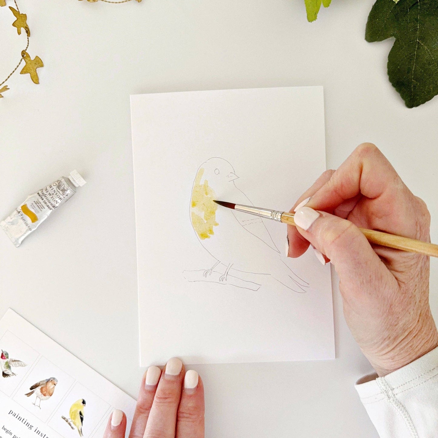 paintable watercolor notecard set Backyard birds