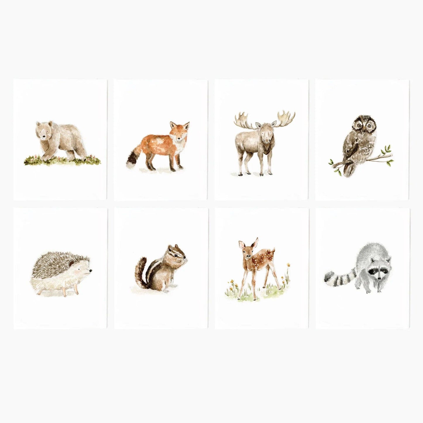 paintable watercolor notecard set Woodland animals