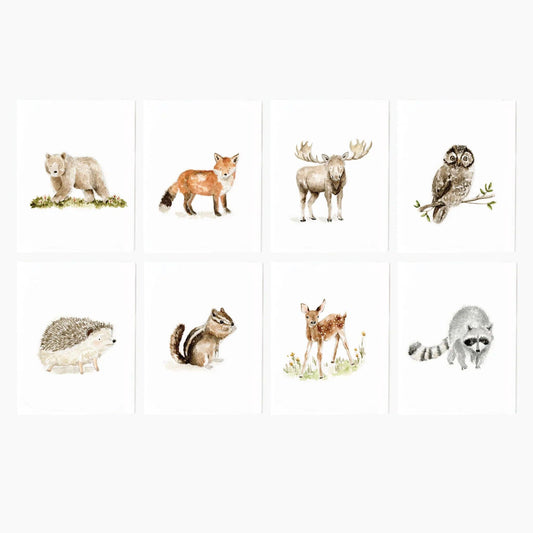paintable watercolor notecard set Woodland animals