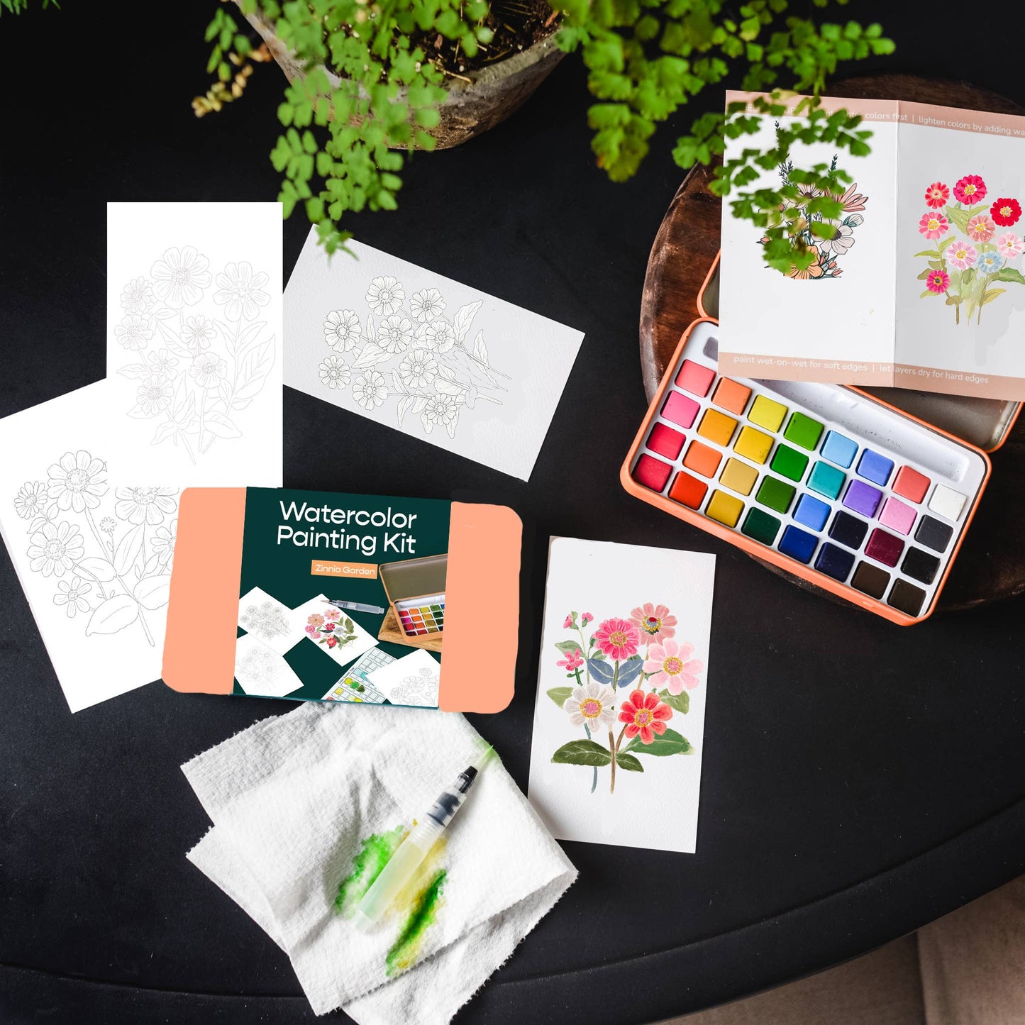 watercolor painting kit Zinnia Garden