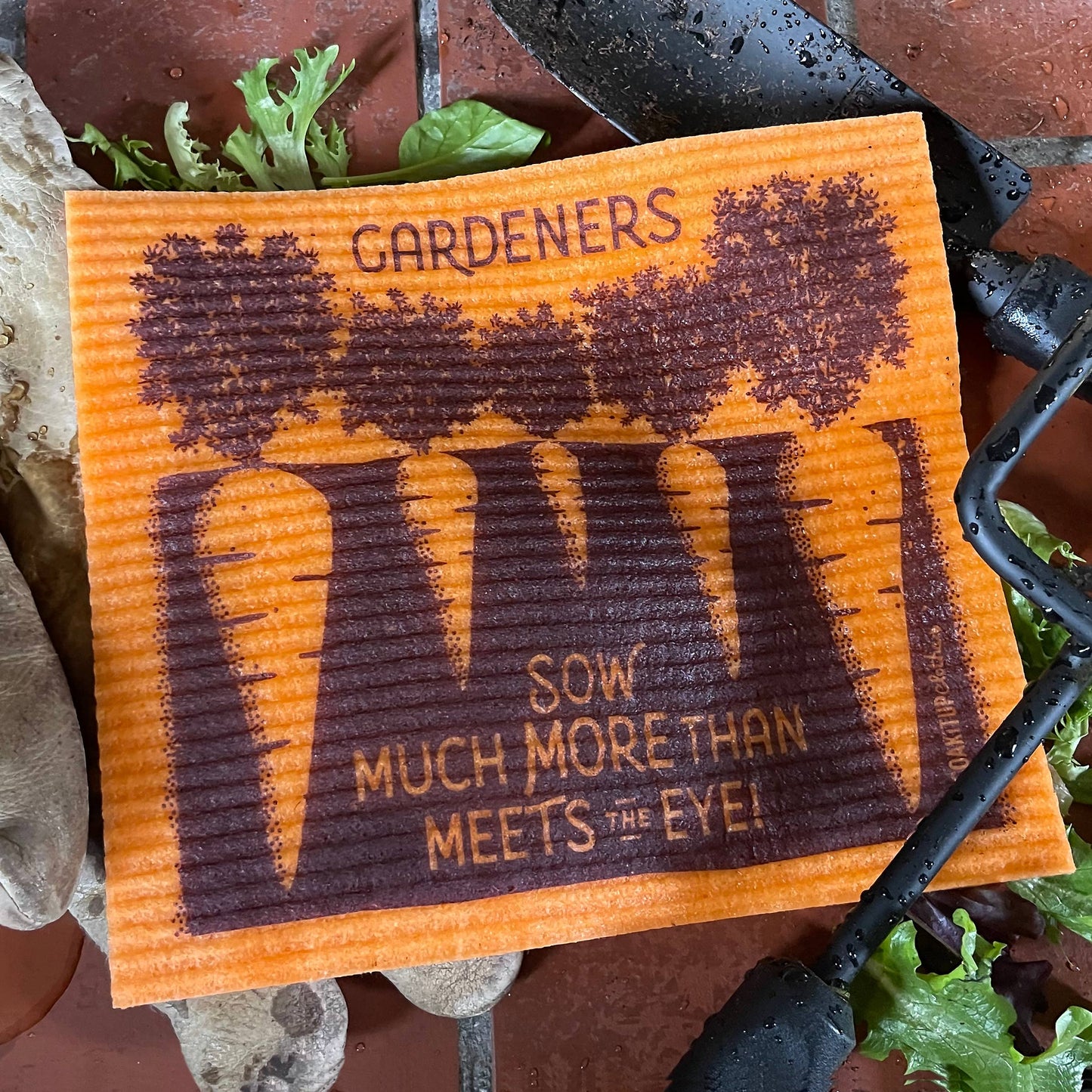 Dishcloth Gardeners Sow Much More Than Meets the Eye Orange