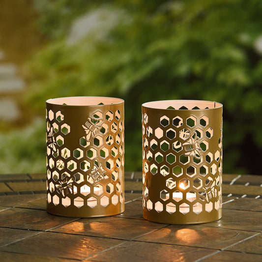 Busy Bee Lantern
