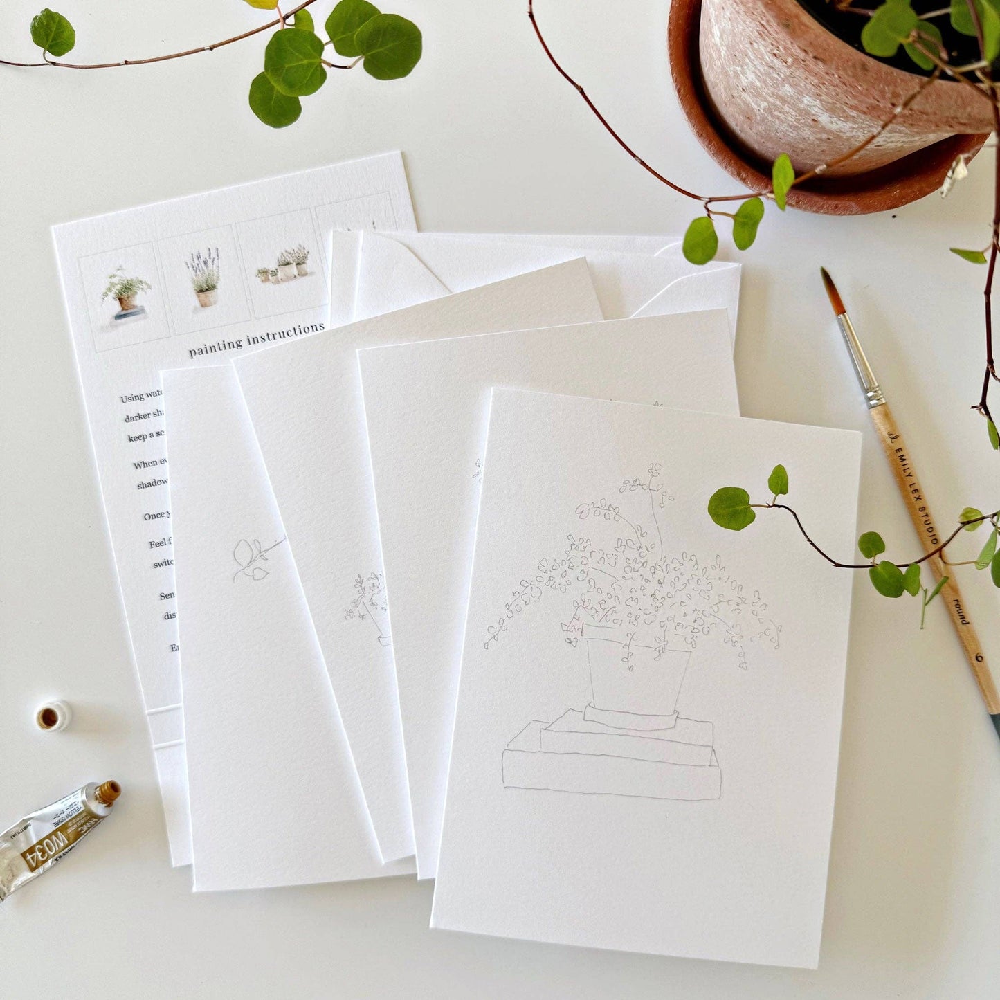 paintable watercolor notecard set Potted plants