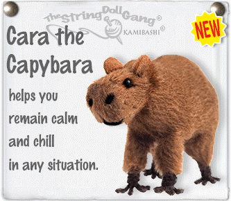 Cara the Capybara