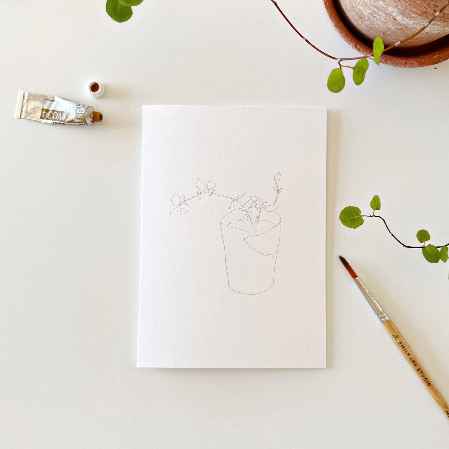 paintable watercolor notecard set Potted plants