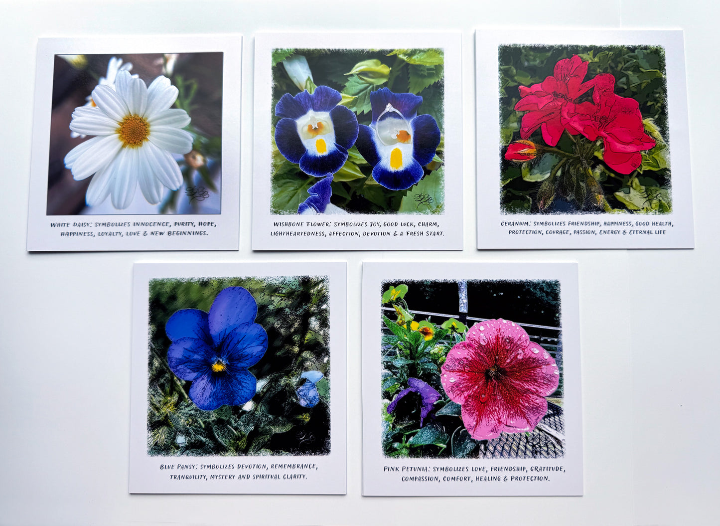 5 x 5 Flower Cards