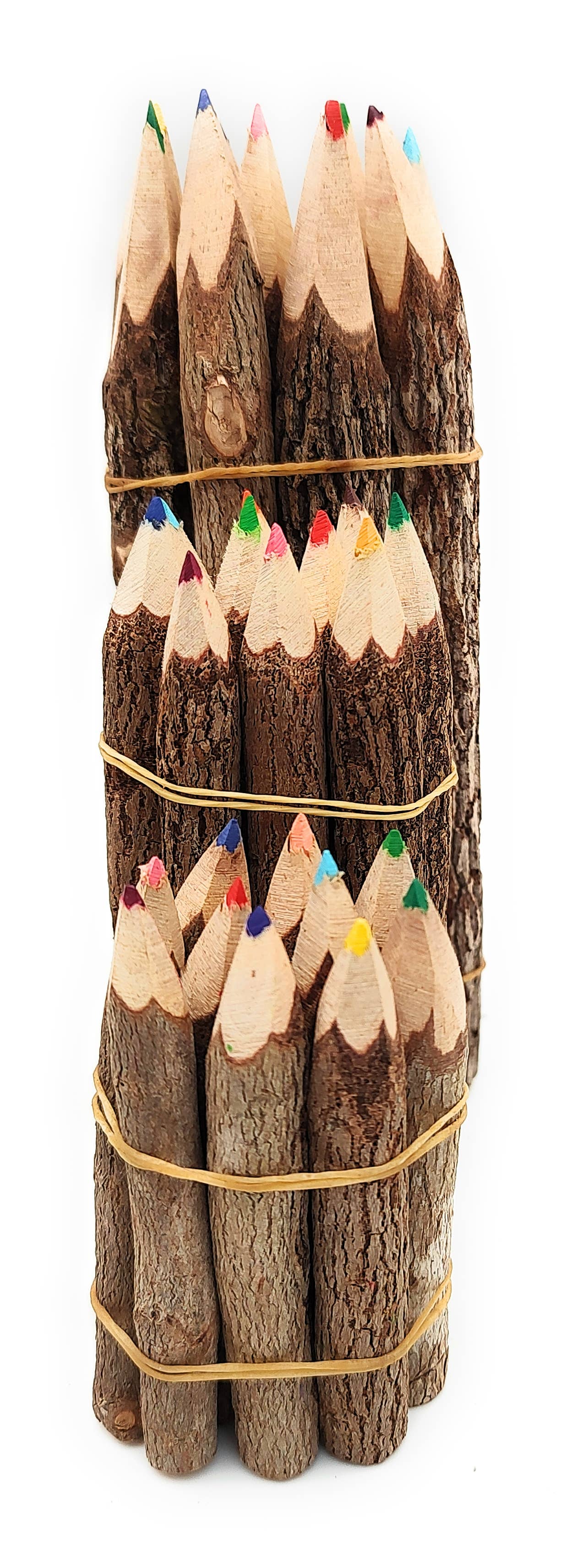 3.5 Inch Color Jungle Vine Pencils