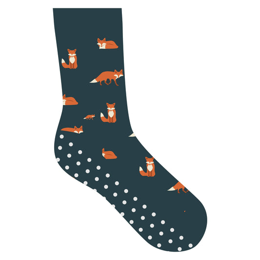 Kids Socks that Protect Foxes: Preschool