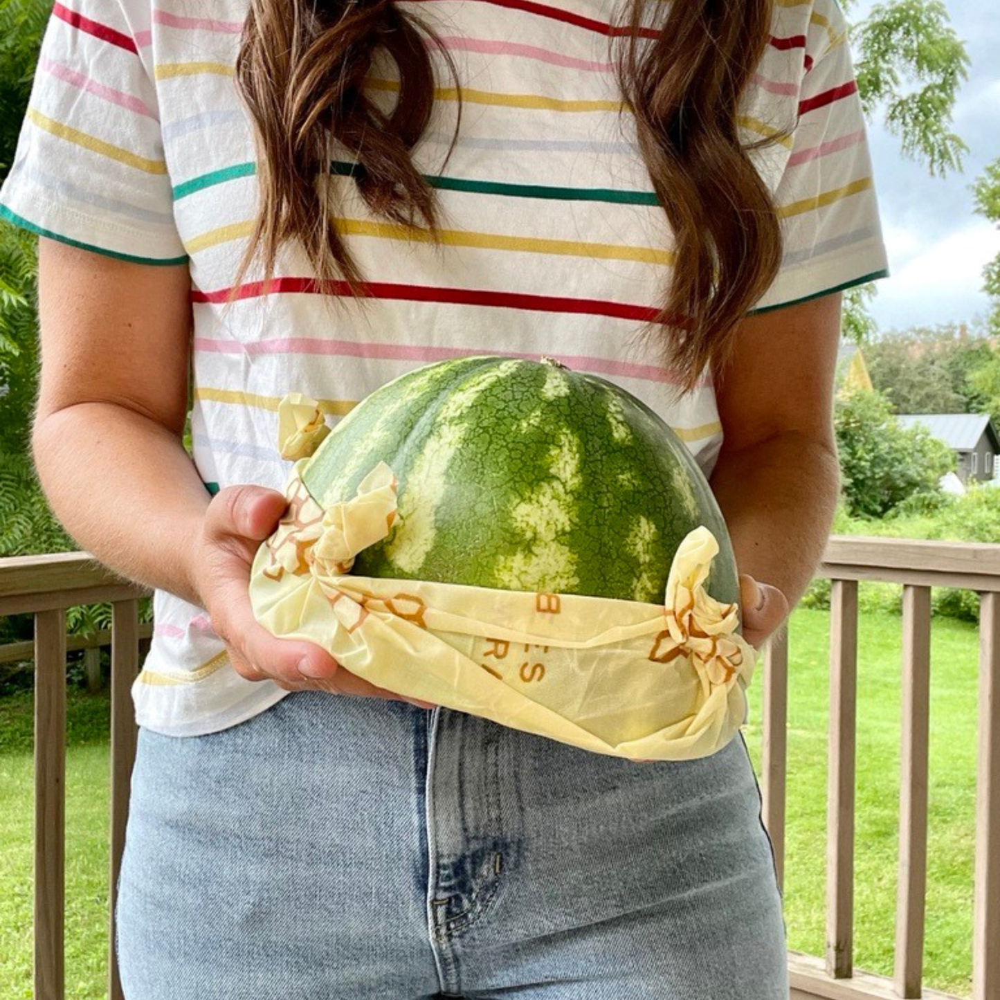 New! Assorted 5 Pack - Honeycomb