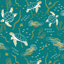 Load image into Gallery viewer, Assorted 3 Pack - Oceans
