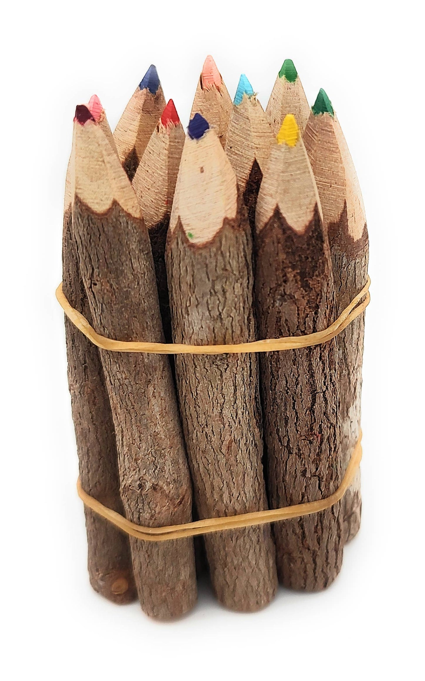 3.5 Inch Color Jungle Vine Pencils