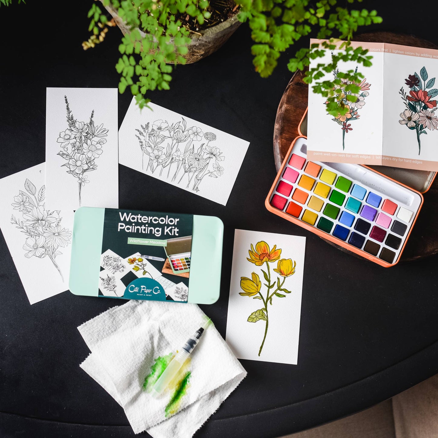 watercolor painting kit Wildflower Meadow