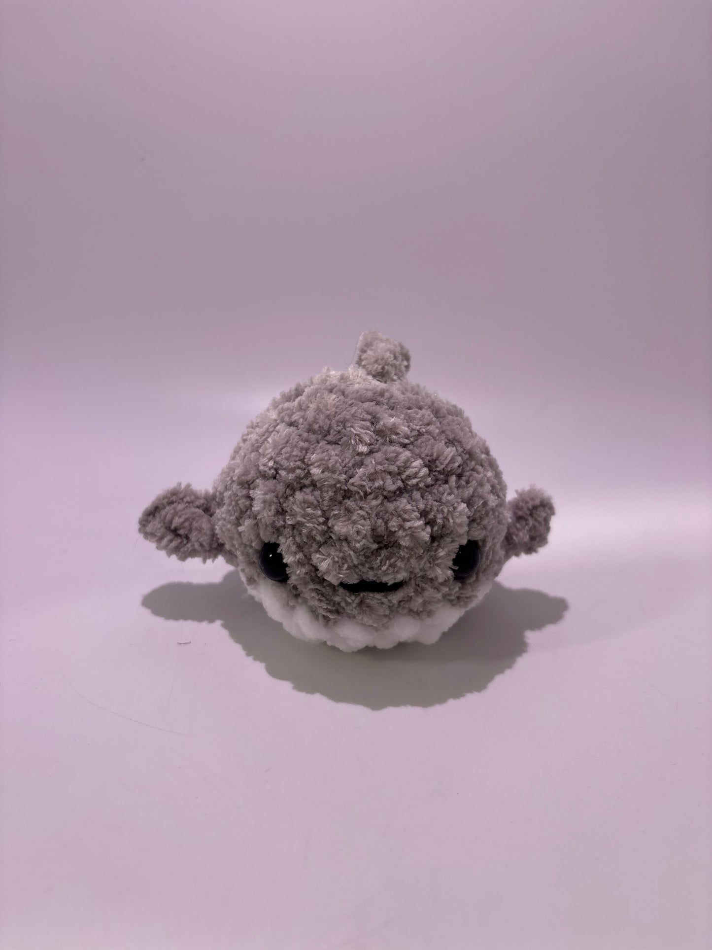 Shark