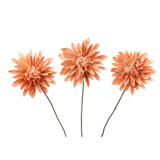 Blush Corn Husk Dahlias