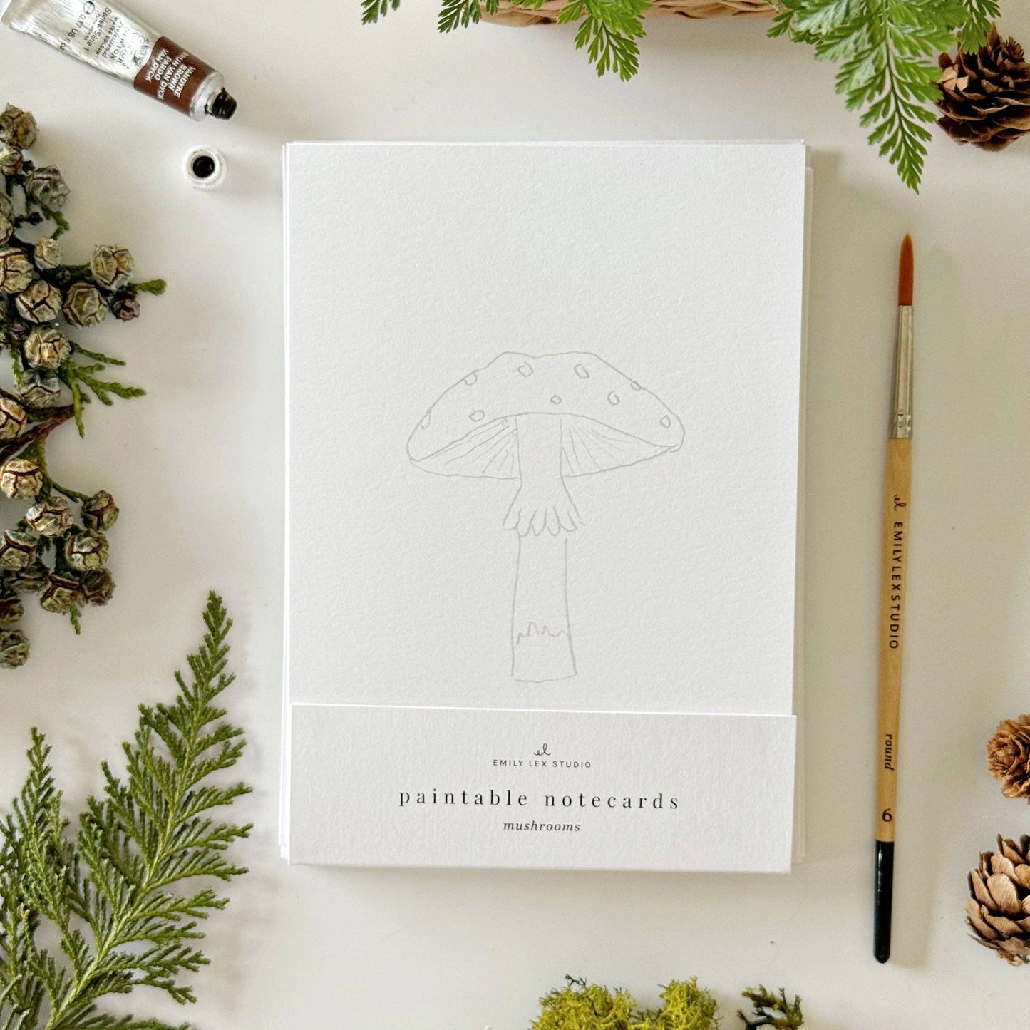 paintable watercolor notecard set Mushrooms