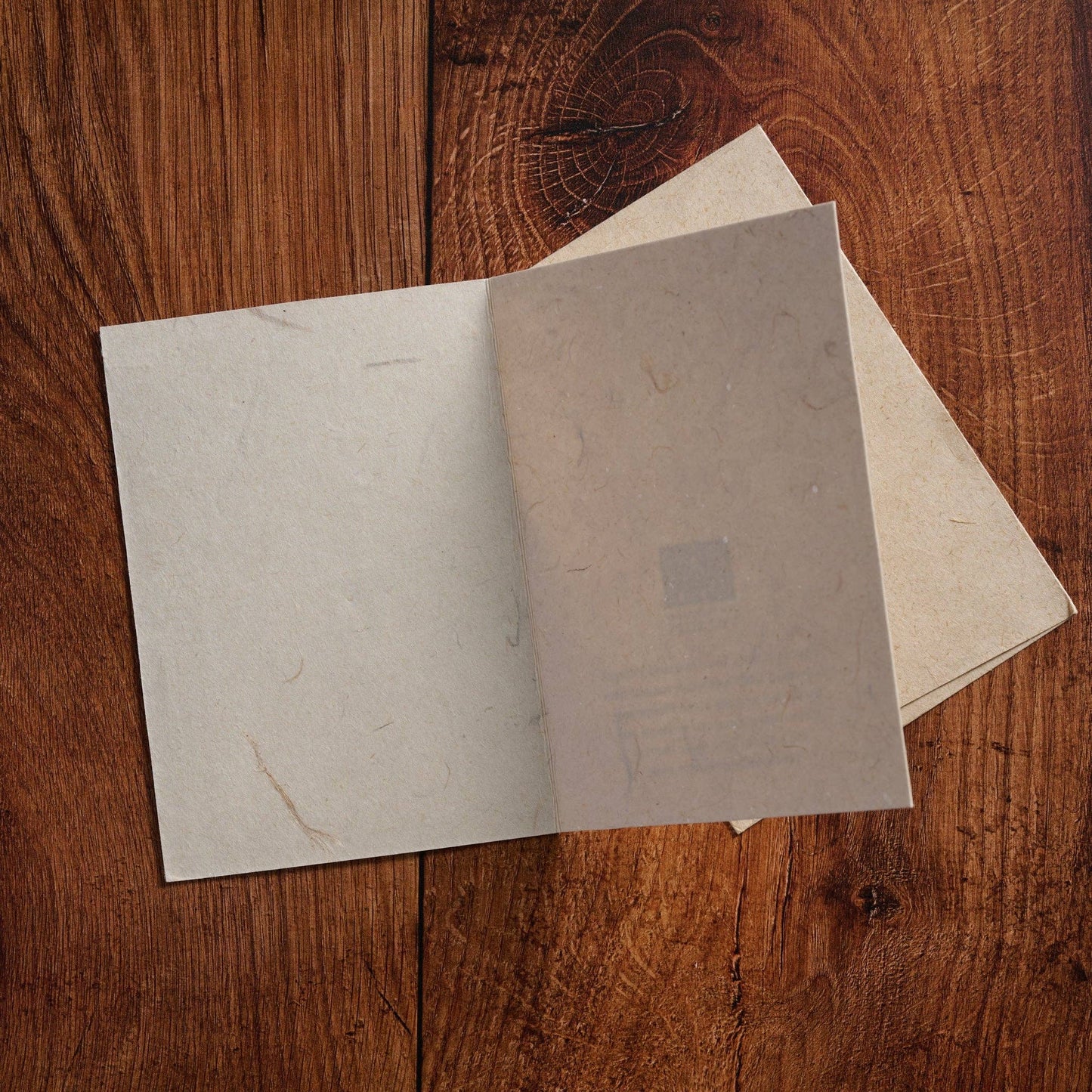 Natural Nativity Card