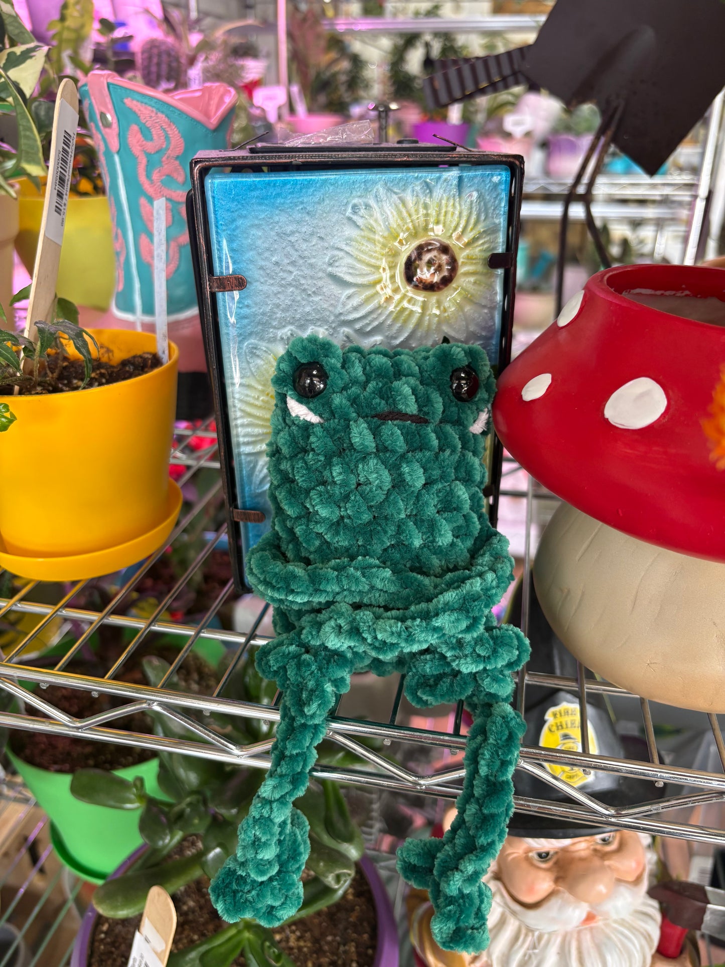 Leggy Frog