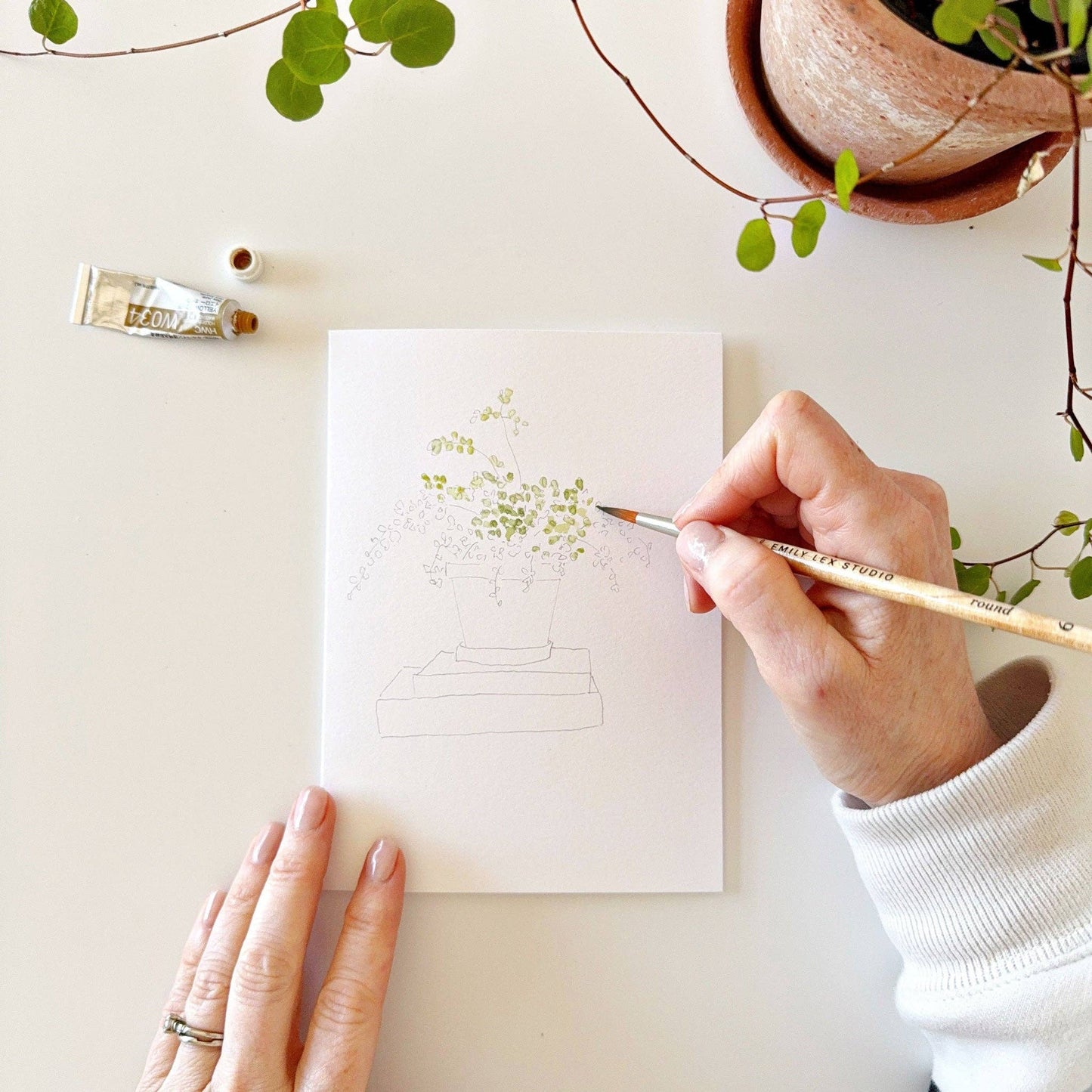 paintable watercolor notecard set Potted plants