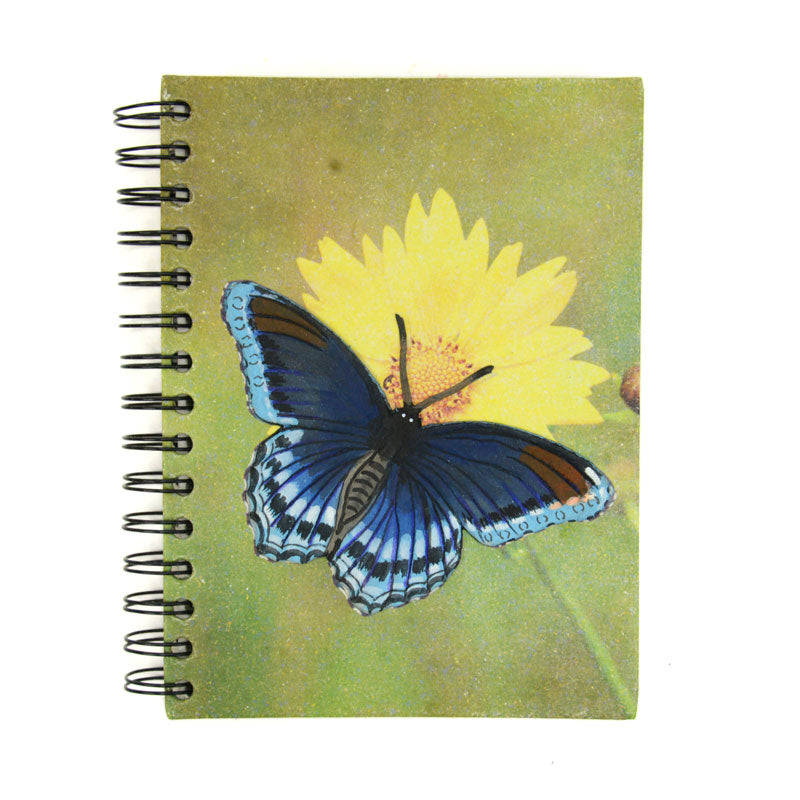 Large Notebooks - Ellie Pooh