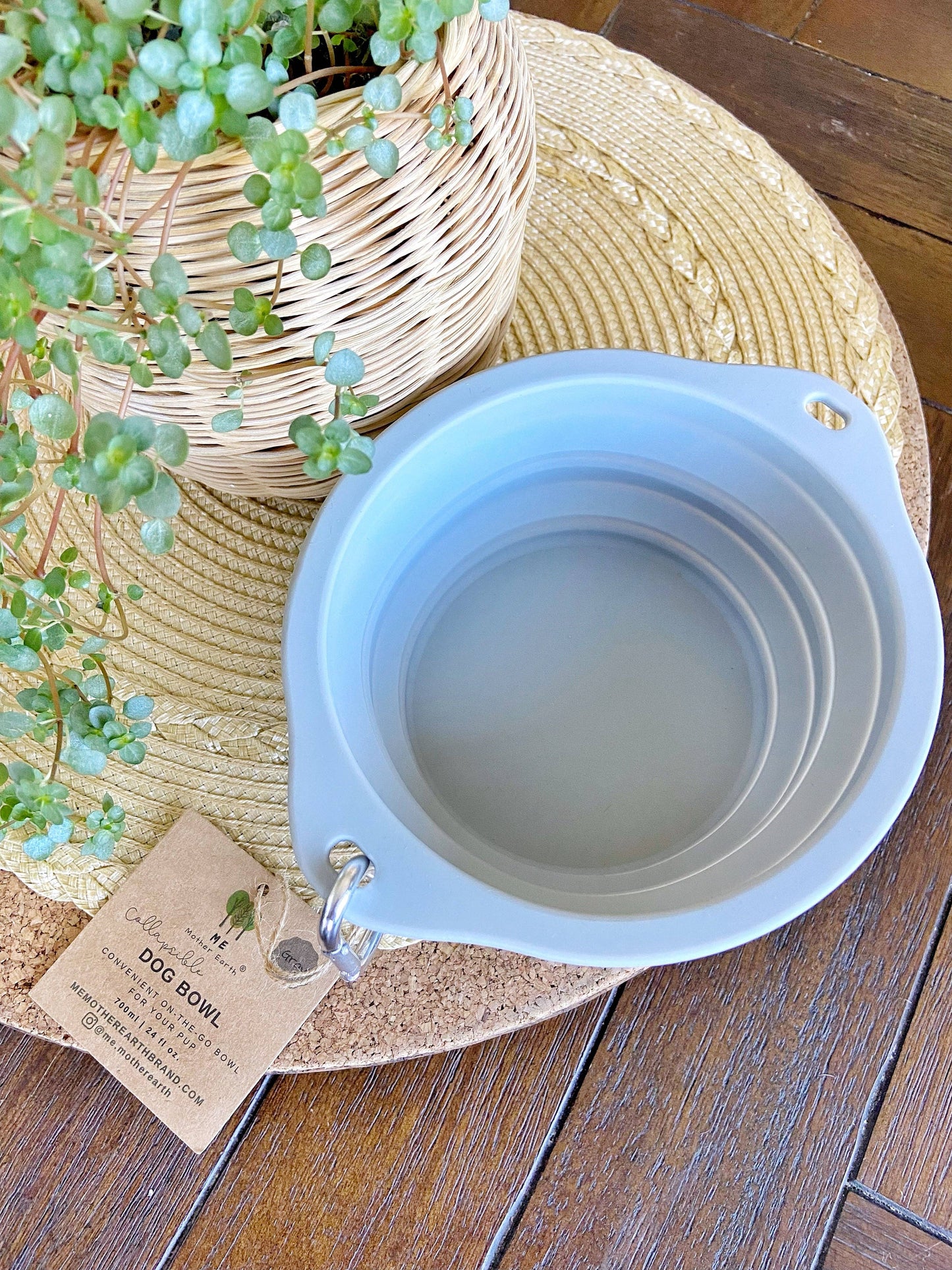 Collapsible Silicone Dog Bowl: 3 Sage Green 3 Gray