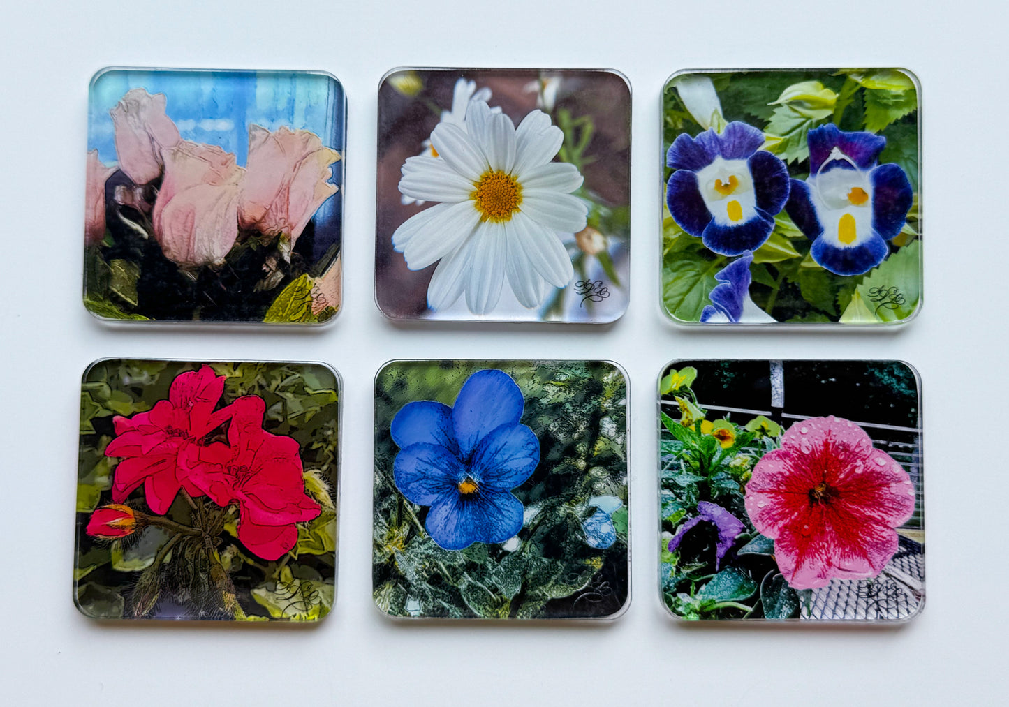 Flower Magnet & Gift Card Set