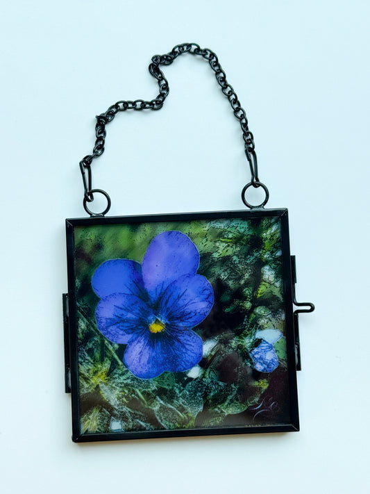 Translucent Window Art & Gift Card Sets - Flowers (Large)