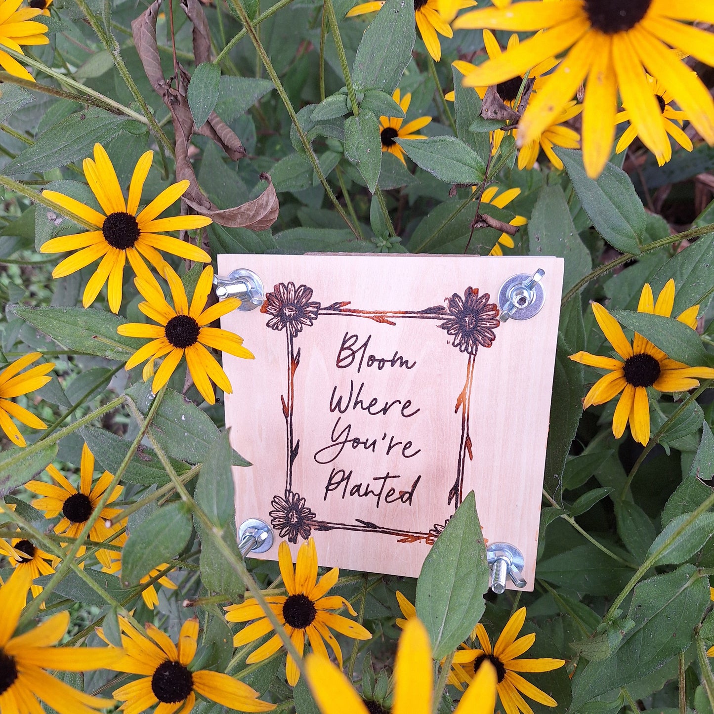 Bloom Where You’re Planted Flower Press