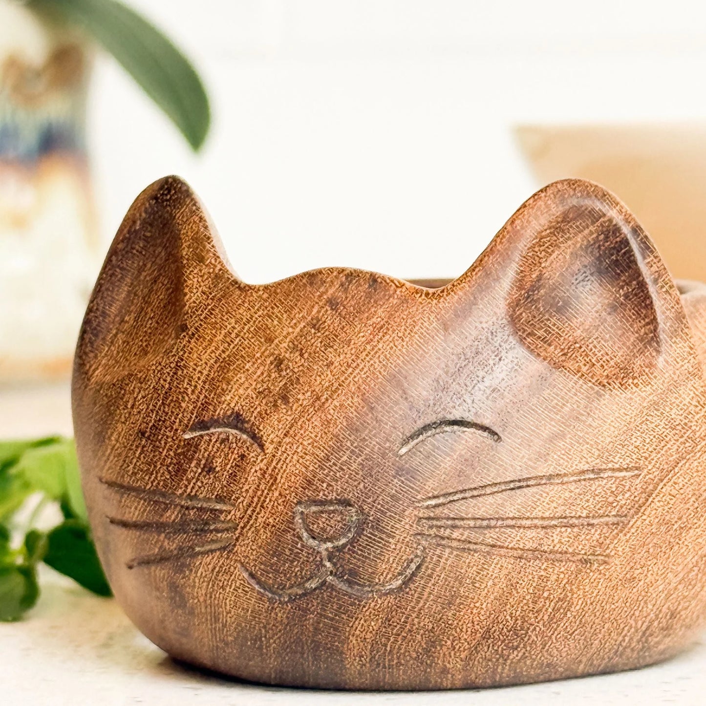 Cat Salt Box