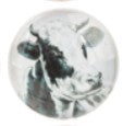 Farm Animal Magnet
