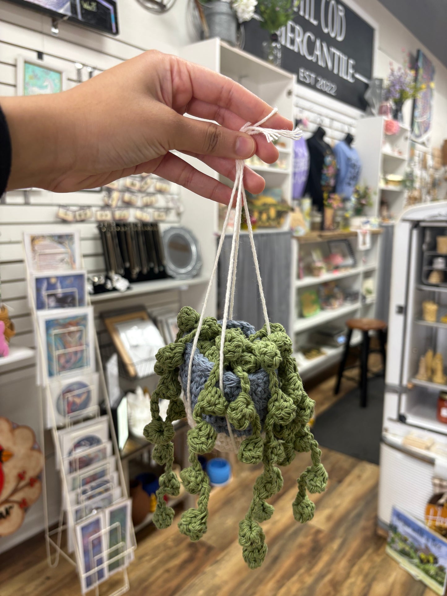 K Hanging Plant