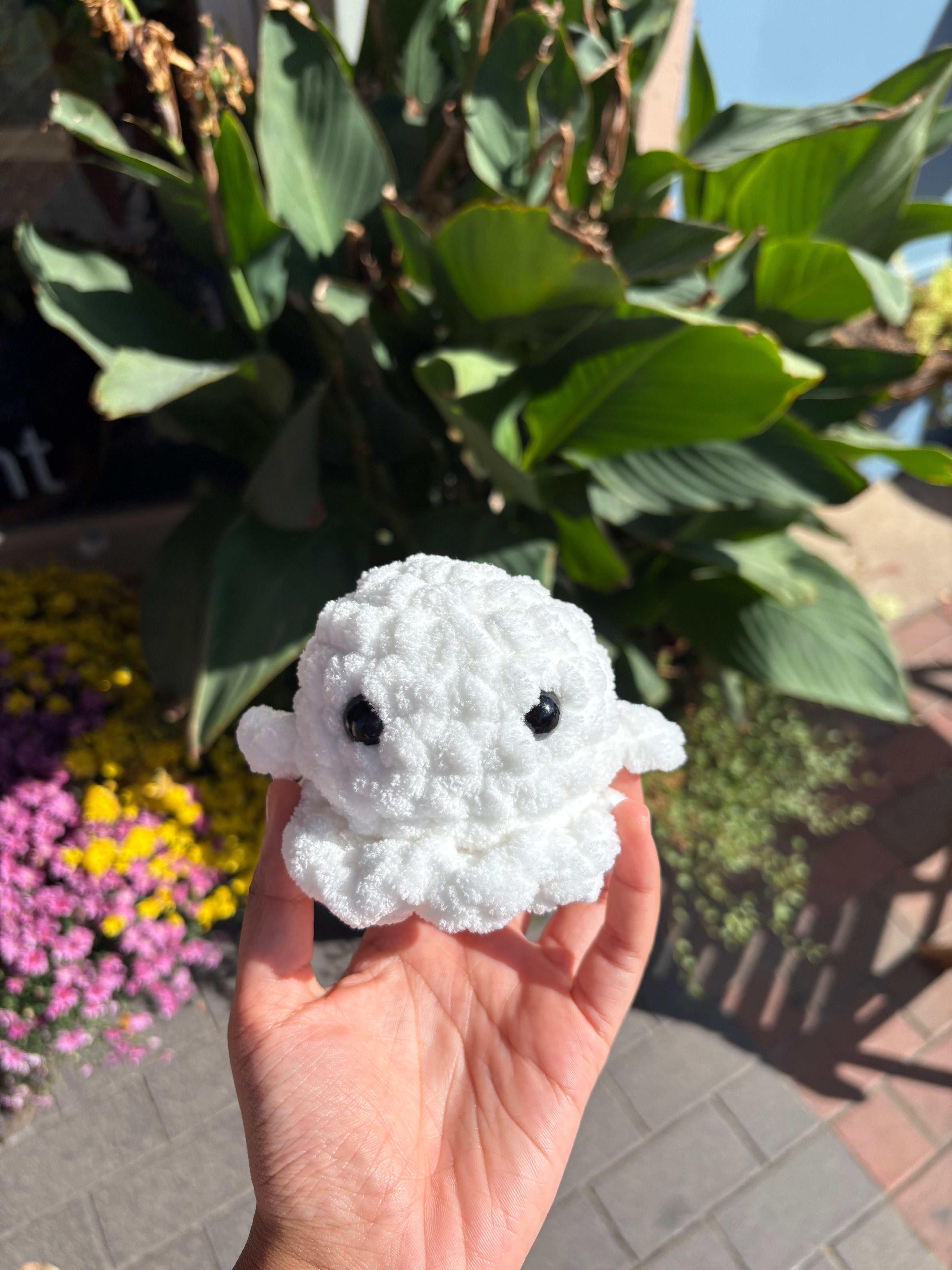 K Ghost – World's Window & The Cob Mercantile