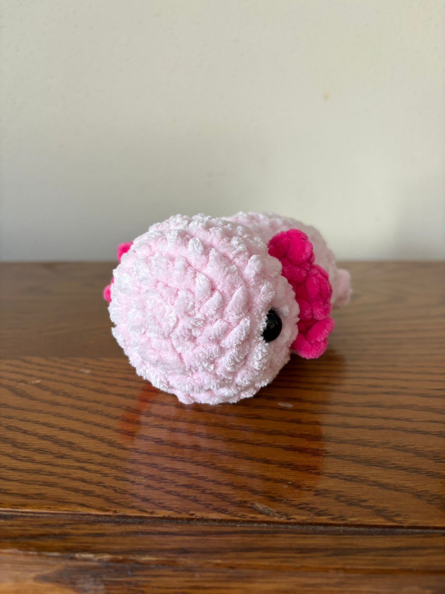 Axolotl