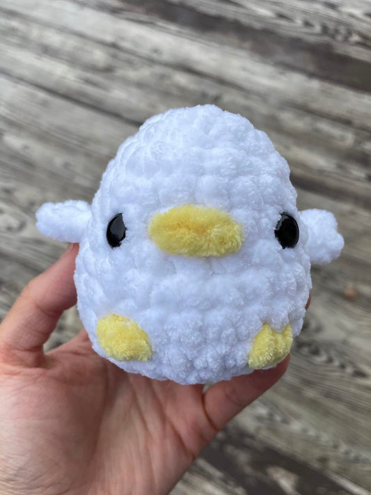 Duck