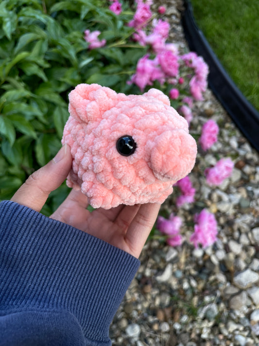 Baby Pig