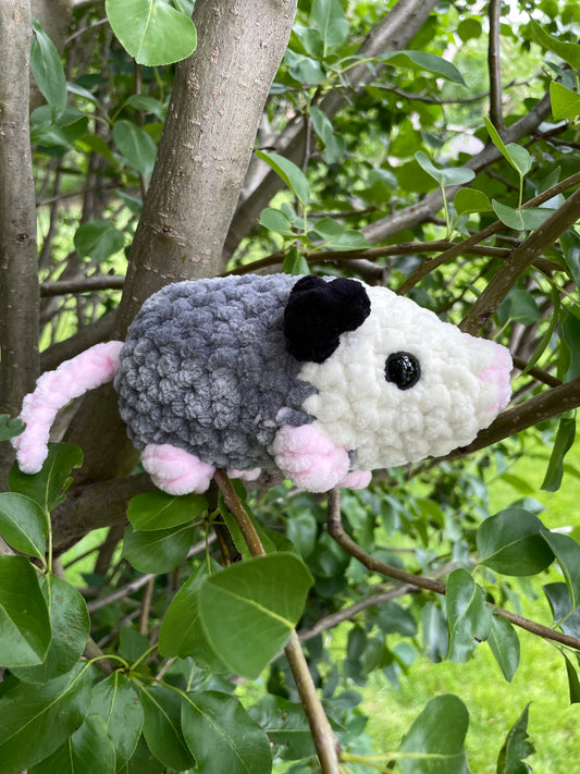 Possum