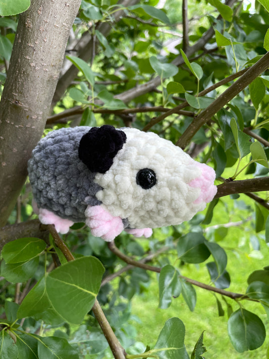Possum