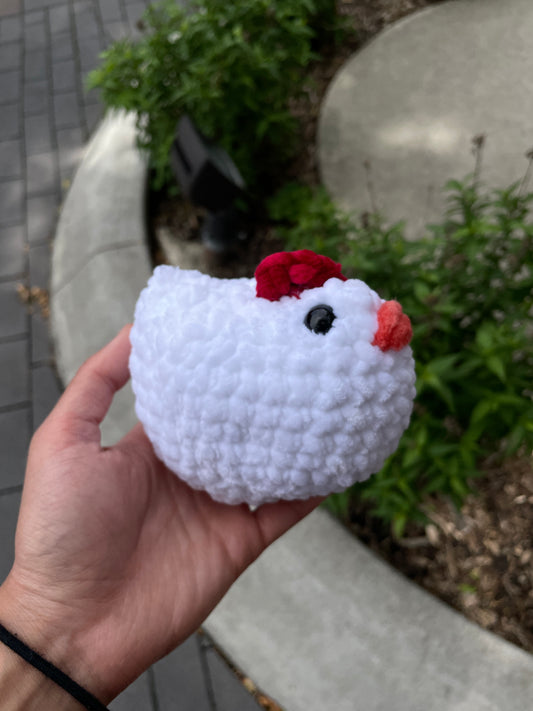 Chicken