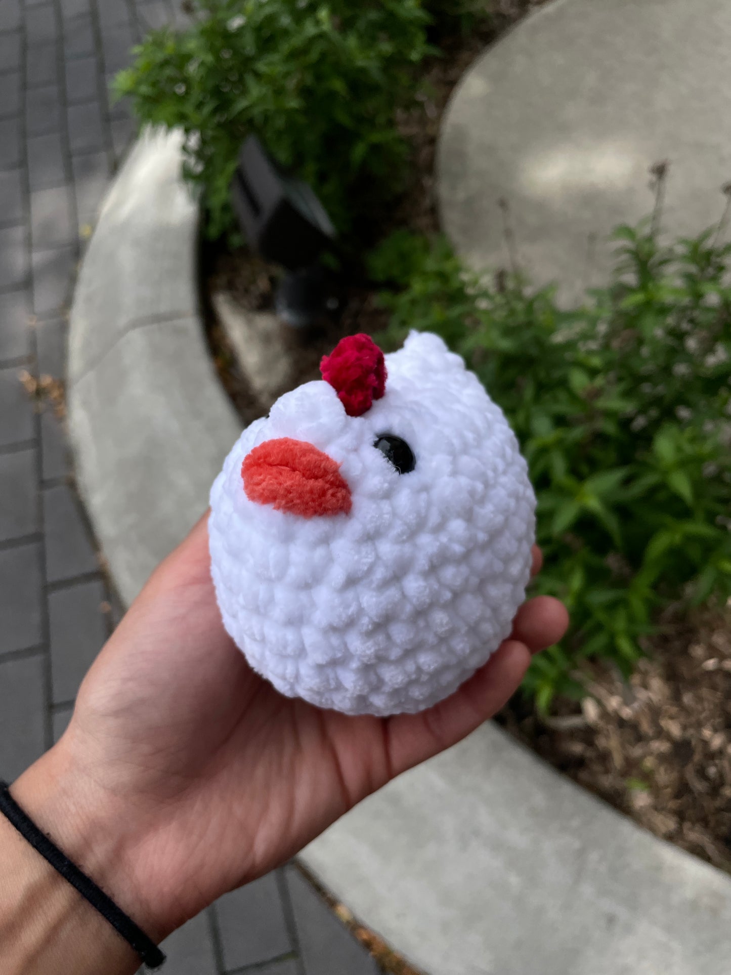 Chicken