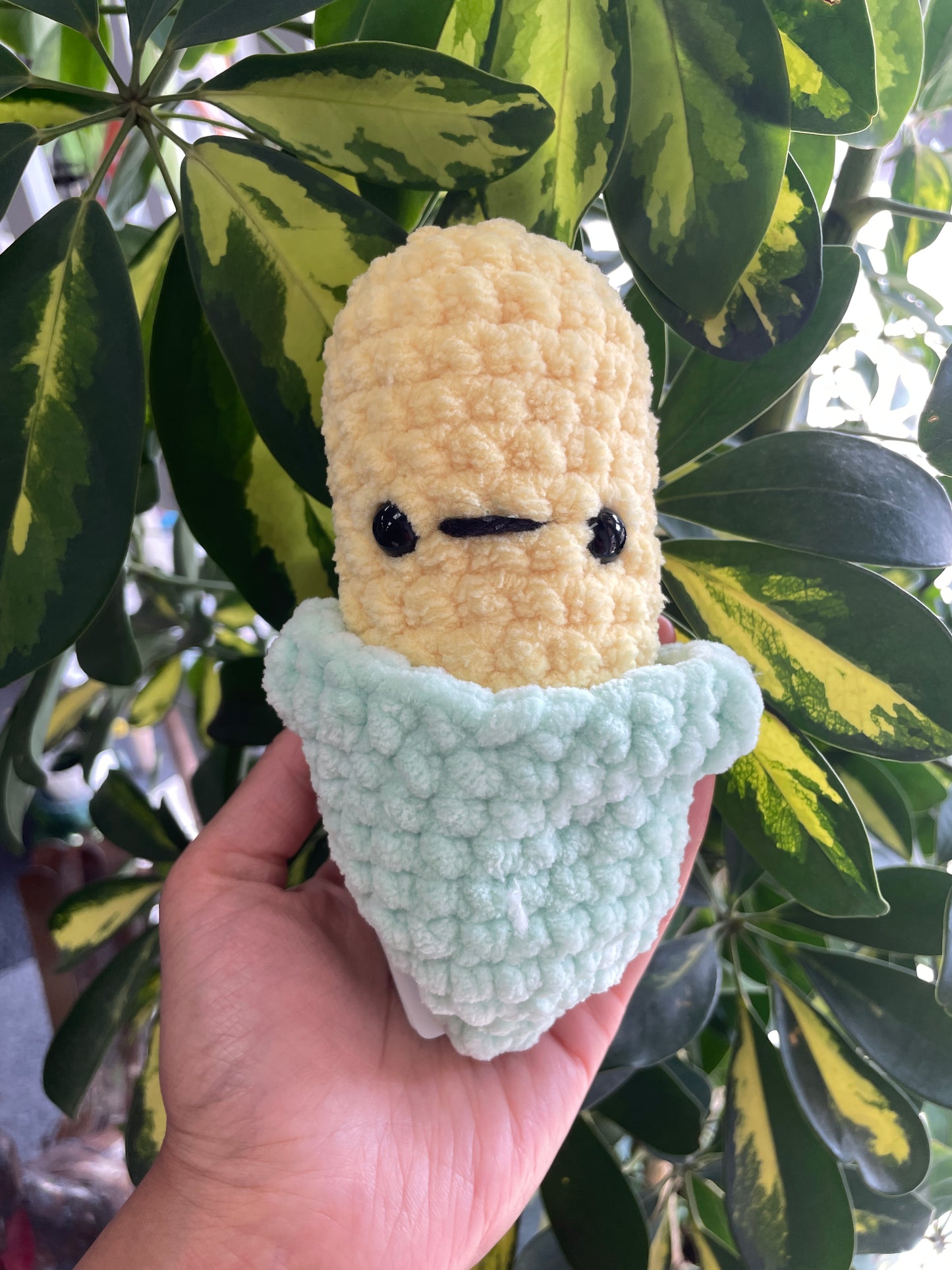 Corn