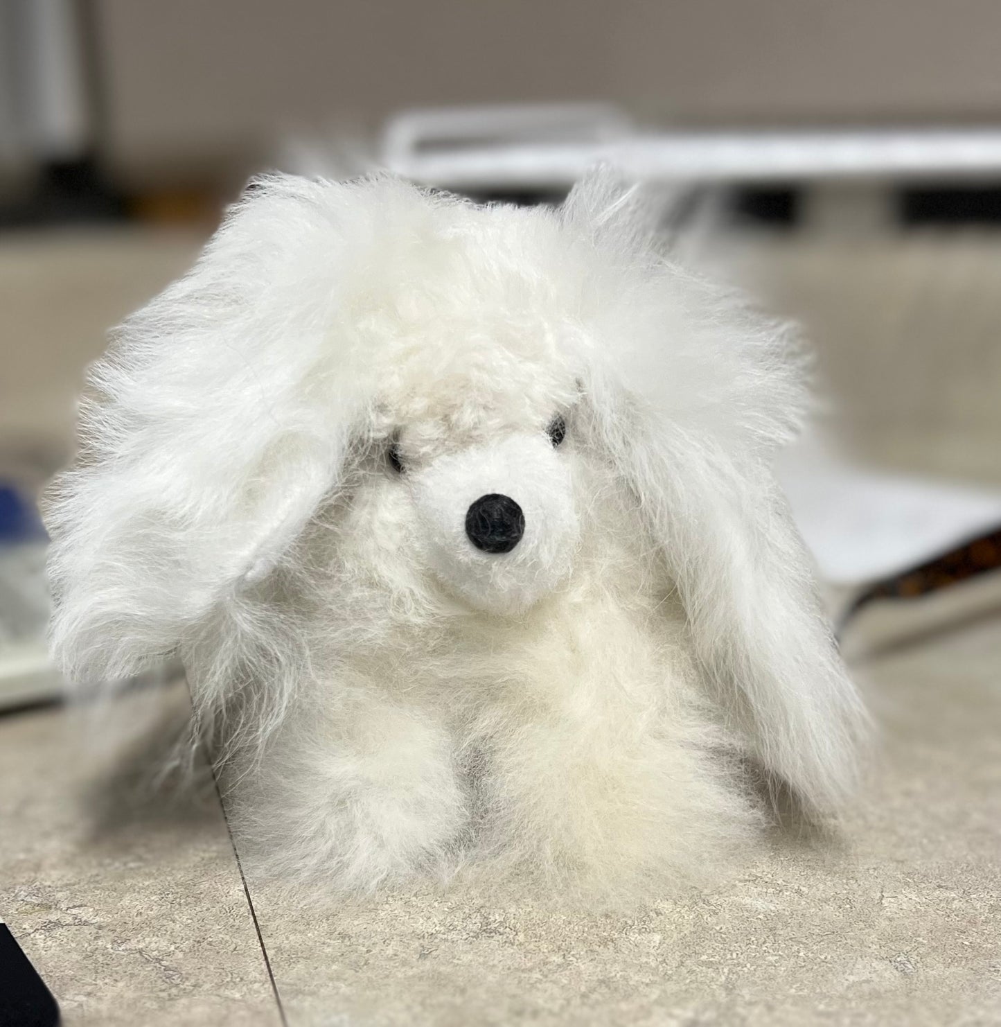 Alpaca Dog
