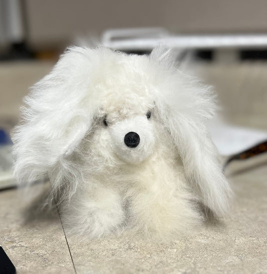 Alpaca Dog