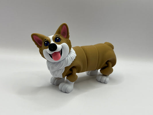 Corgi