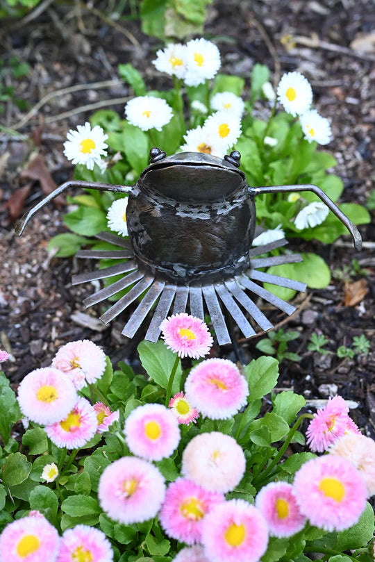 Frog Metal Sculpture Dancing