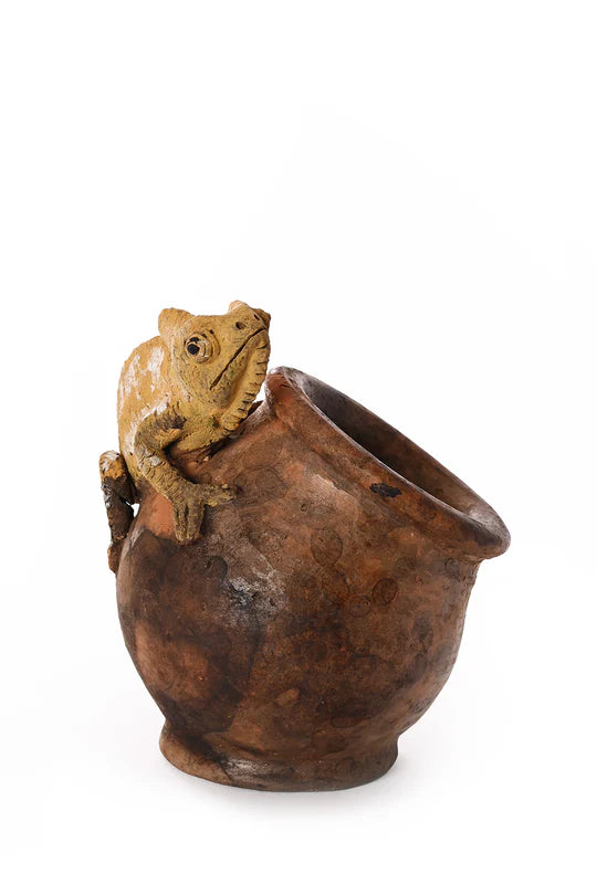 Ceramic Chameleon  Slanted Pot
