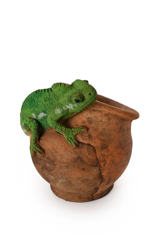 Ceramic Chameleon  Slanted Pot