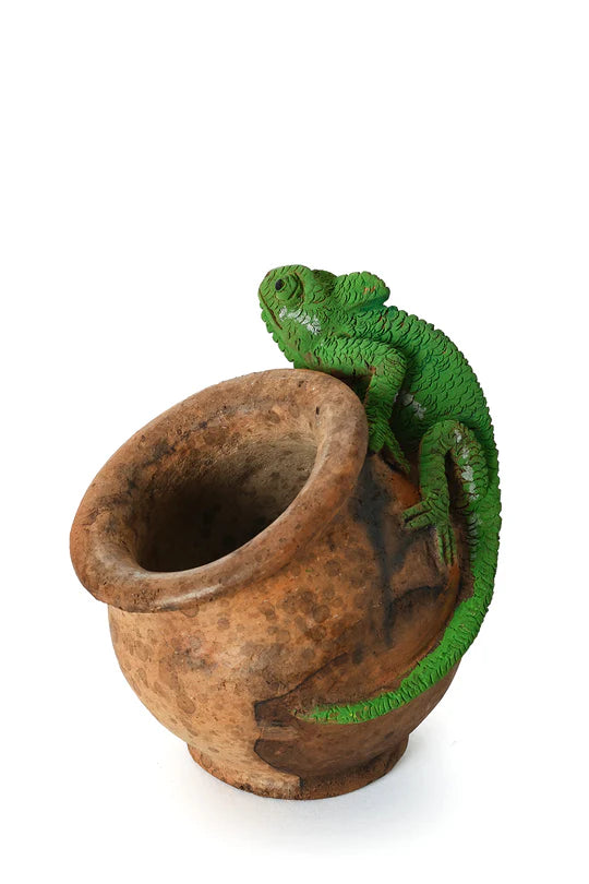 Ceramic Chameleon  Slanted Pot