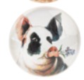 Farm Animal Magnet