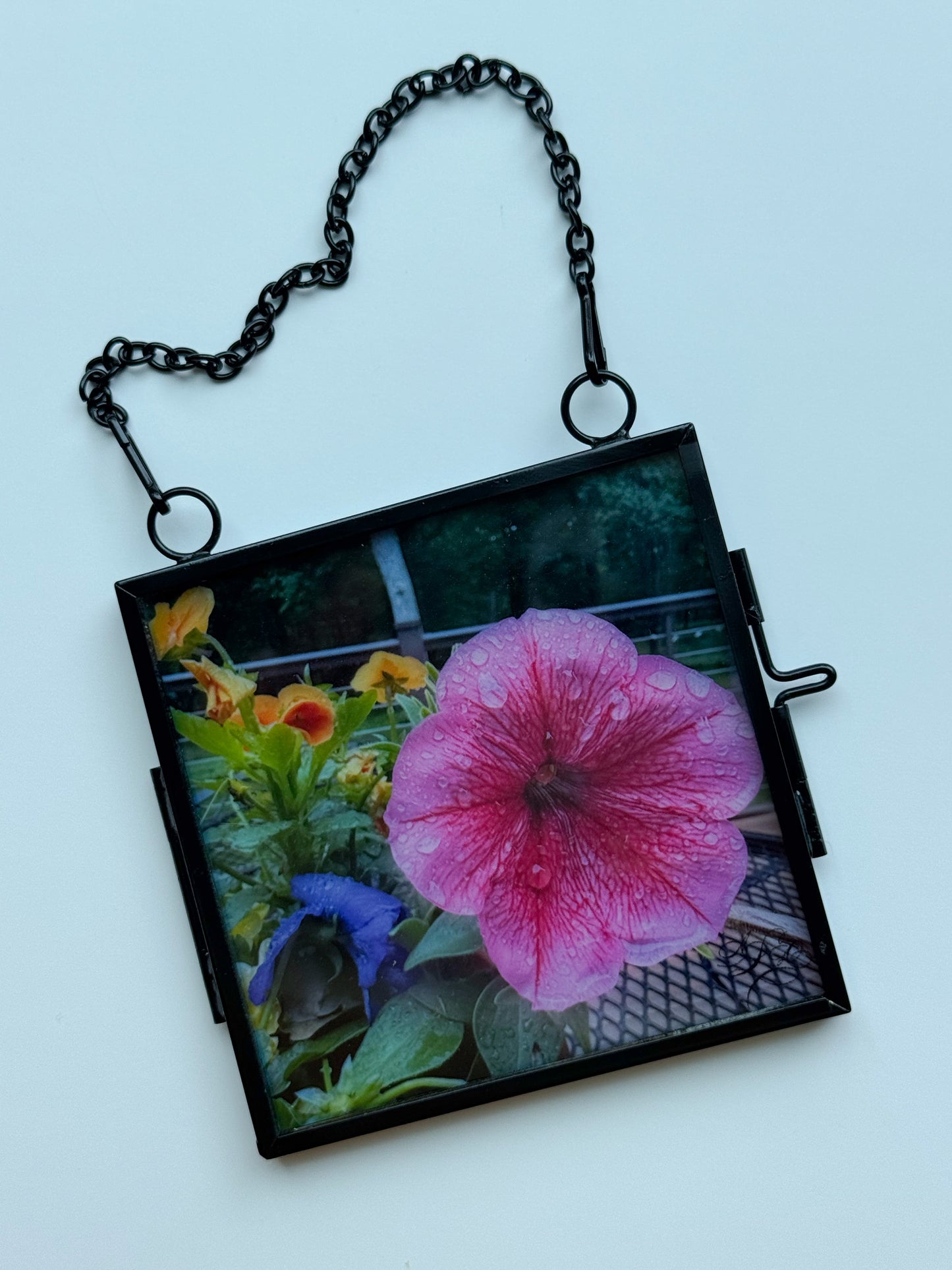 Translucent Window Art & Gift Card Sets - Flowers (Large)