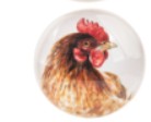 Farm Animal Magnet